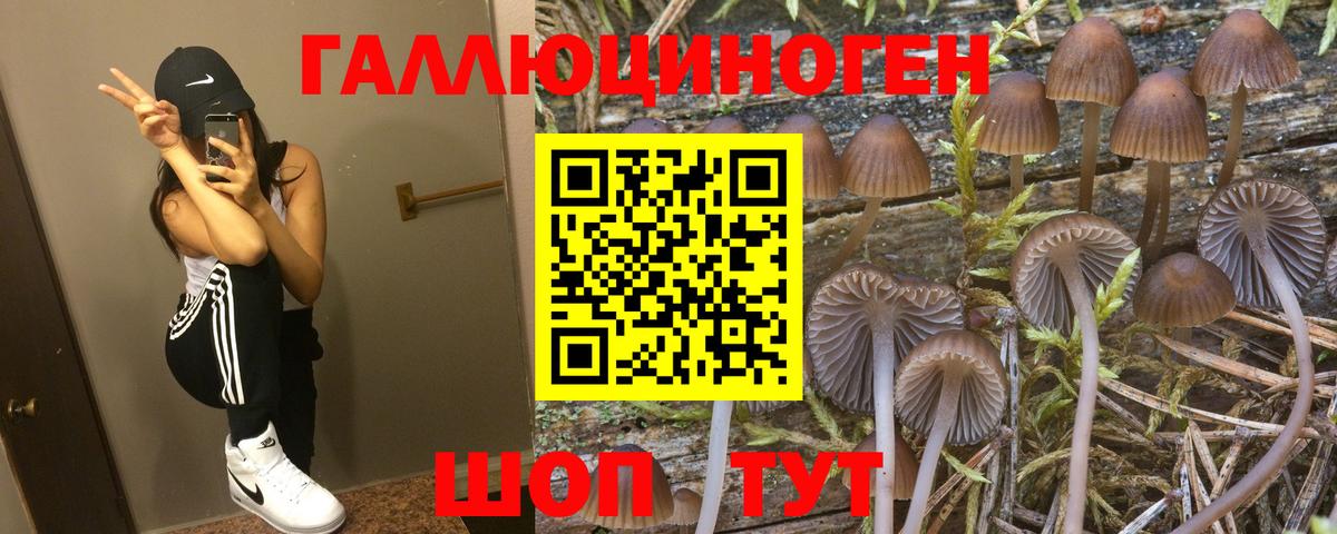 Псилоцибиновые грибы прущие грибы Гулькевичи